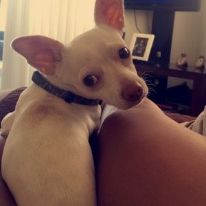 Meet your Posher, Vanessa